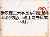 武汉理工大学是专科还是本科院校呢(武理工是专科或本科？)