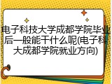 电子科技大学成都学院毕业后一般能干什么呢(电子科大成都学院就业方向)