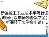 新疆轻工职业技术学院就读期间可以申请哪些奖学金(新疆轻工奖学金申请)