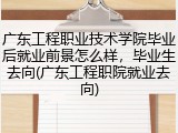 广东工程职业技术学院毕业后就业前景怎么样，毕业生去向(广东工程职院就业去向)
