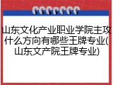 山东文化产业职业学院主攻什么方向有哪些王牌专业(山东文产院王牌专业)