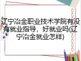 辽宁冶金职业技术学院有没有就业指导，好就业吗(辽宁冶金就业怎样)
