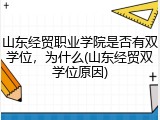 山东经贸职业学院是否有双学位，为什么(山东经贸双学位原因)