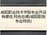 咸阳职业技术学院专业开设有哪些,特色在哪(咸阳职院专业特色)