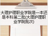 大理护理职业学院是一本还是本科第二批(大理护理职业学院批次)