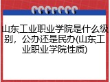 山东工业职业学院是什么级别，公办还是民办(山东工业职业学院性质)