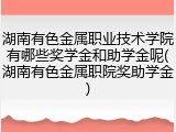 湖南有色金属职业技术学院有哪些奖学金和助学金呢(湖南有色金属职院奖助学金)