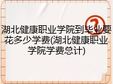 湖北健康职业学院到毕业要花多少学费(湖北健康职业学院学费总计)