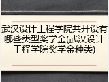 武汉设计工程学院共开设有哪些类型奖学金(武汉设计工程学院奖学金种类)
