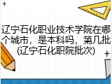 辽宁石化职业技术学院在哪个城市，是本科吗，第几批(辽宁石化职院批次)