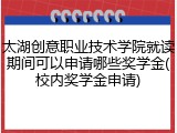 太湖创意职业技术学院就读期间可以申请哪些奖学金(校内奖学金申请)