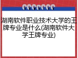 湖南软件职业技术大学的王牌专业是什么(湖南软件大学王牌专业)