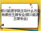 银川能源学院主攻什么方向有哪些王牌专业(银川能源王牌专业)