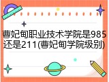 曹妃甸职业技术学院是985还是211(曹妃甸学院级别)