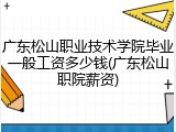 广东松山职业技术学院毕业一般工资多少钱(广东松山职院薪资)