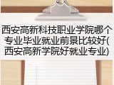 西安高新科技职业学院哪个专业毕业就业前景比较好(西安高新学院好就业专业)