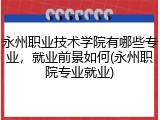 永州职业技术学院有哪些专业，就业前景如何(永州职院专业就业)