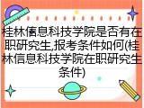 桂林信息科技学院是否有在职研究生,报考条件如何(桂林信息科技学院在职研究生条件)