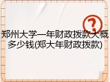 郑州大学一年财政拨款大概多少钱(郑大年财政拨款)