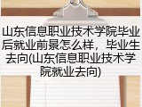 山东信息职业技术学院毕业后就业前景怎么样，毕业生去向(山东信息职业技术学院就业去向)