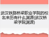 武汉铁路桥梁职业学院的校名来历有什么渊源(武汉桥梁学院渊源)