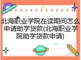 北海职业学院在读期间怎么申请助学贷款(北海职业学院助学贷款申请)