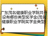 广东茂名健康职业学院共开设有哪些类型奖学金(茂名健康职业学院奖学金类型)