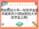 西安财经大学一年奖学金最多能拿多少(西安财经大学奖学金上限)