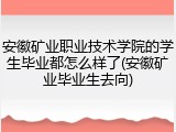 安徽矿业职业技术学院的学生毕业都怎么样了(安徽矿业毕业生去向)