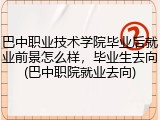 巴中职业技术学院毕业后就业前景怎么样，毕业生去向(巴中职院就业去向)