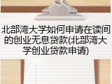 北部湾大学如何申请在读间的创业无息贷款(北部湾大学创业贷款申请)