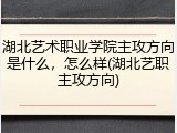 湖北艺术职业学院主攻方向是什么，怎么样(湖北艺职主攻方向)
