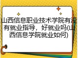 山西信息职业技术学院有没有就业指导，好就业吗(山西信息学院就业如何)