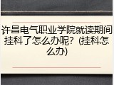 许昌电气职业学院就读期间挂科了怎么办呢？(挂科怎么办)
