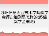 苏州信息职业技术学院奖学金评定细则是怎样的(苏信奖学金细则)