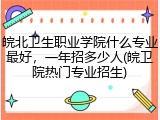 皖北卫生职业学院什么专业最好，一年招多少人(皖卫院热门专业招生)