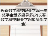 长春数字科技职业学院一年奖学金最多能拿多少(长春数字科技职业学院最高奖学金)