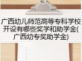 广西幼儿师范高等专科学校开设有哪些奖学和助学金(广西幼专奖助学金)