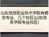 山东信息职业技术学院有哪些专业，几个校区(山东信息学院专业校区)