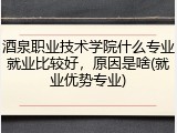 酒泉职业技术学院什么专业就业比较好，原因是啥(就业优势专业)
