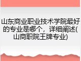山东商业职业技术学院最好的专业是哪个，详细阐述(山商职院王牌专业)