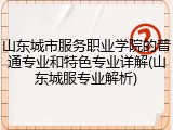 山东城市服务职业学院的普通专业和特色专业详解(山东城服专业解析)