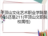 平顶山文化艺术职业学院是985还是211(平顶山文职院校属性)