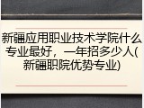 新疆应用职业技术学院什么专业最好，一年招多少人(新疆职院优势专业)