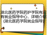 湖北医药学院药护学院有没有就业指导中心，详细介绍(湖北医药学院就业指导)