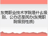 东莞职业技术学院是什么级别，公办还是民办(东莞职院级别性质)