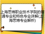上海思博职业技术学院的普通专业和特色专业详解(上海思博专业解析)