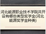 河北能源职业技术学院共开设有哪些类型奖学金(河北能源奖学金种类)