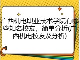 广西机电职业技术学院有哪些知名校友，简单分析(广西机电校友及分析)