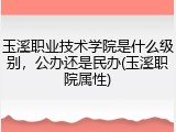 玉溪职业技术学院是什么级别，公办还是民办(玉溪职院属性)